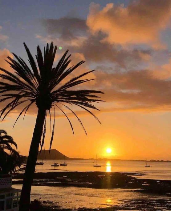 Corralejo Home Beach & Center Exteriör bild